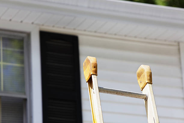 Best Aluminum Siding Installation  in Warren, IL