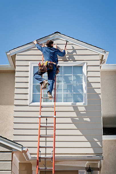 Best Vinyl Siding Installation  in Warren, IL