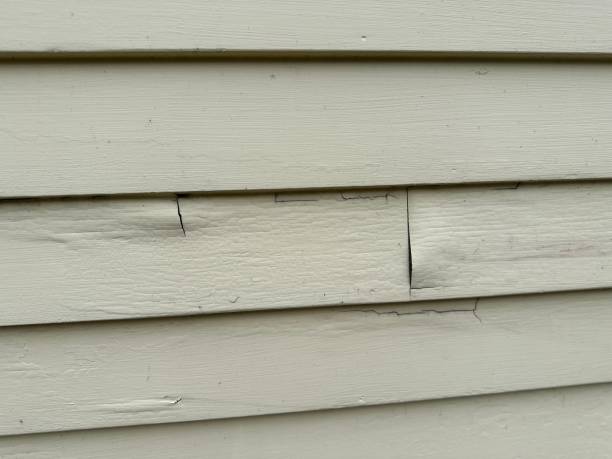 Best Siding Maintenance  in Warren, IL